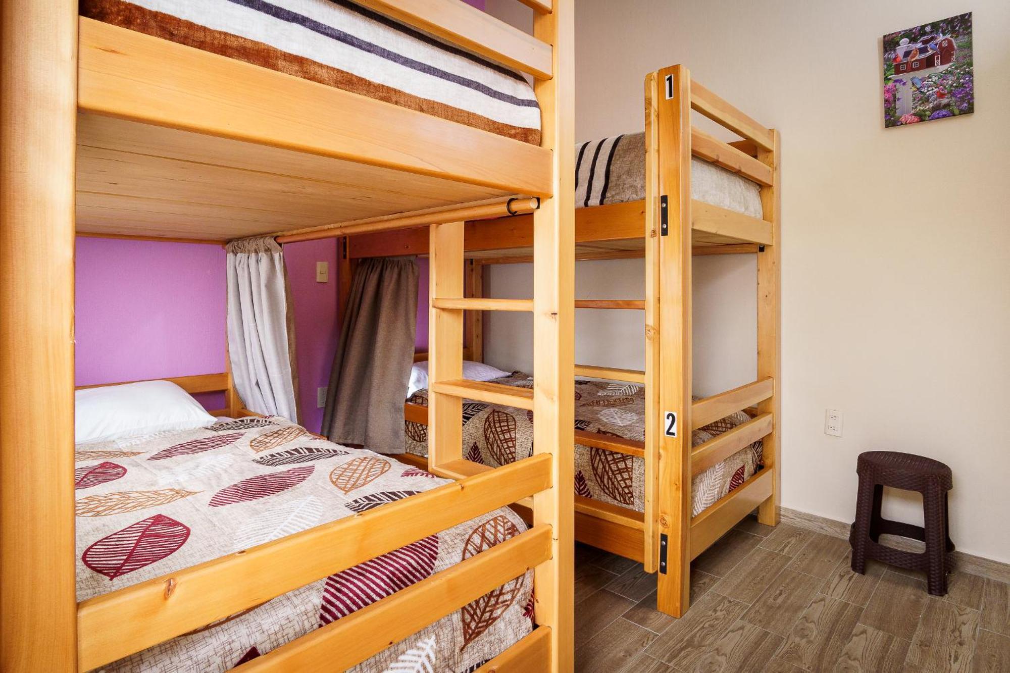 Tierra Alta Hostal Сан-Крістобаль-де-лас-Касас Екстер'єр фото